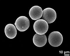 hydrated pollen grains