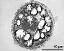 pollen grain in cross section