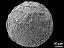 oblique distal polar view