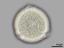 polar view,hydrated pollen