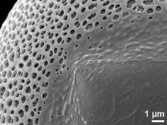 aperture detail