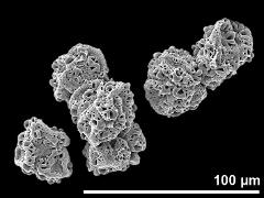 dry tetrads