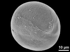equatorial view
