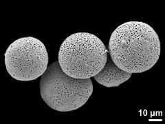 hydrated pollen grains