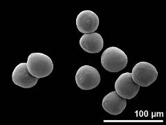 hydrated pollen