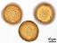 acetolyzed pollen