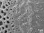 aperture detail,margo
