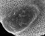 detail of aperture