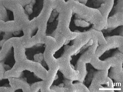 Sculpture in polar area