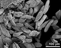 hydrated tetrads