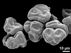 dry tetrads