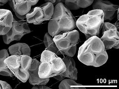 dry tetrads