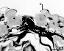 tapetum cells with Ubisch bodies (U)
