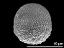 equatorial view