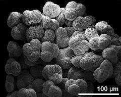 hydrated tetrads