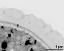 interapertural area of pollen wall, intine (I), endexine (E)