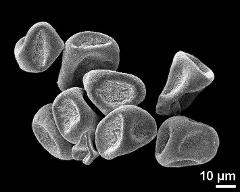 dry tetrads