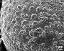 detail of aperture