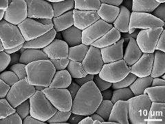 tetrads and monads (forming pollinium)