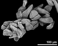 hydrated tetrads